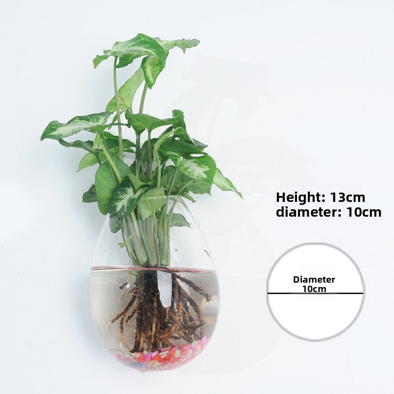 Hanging Hydroponic Glass Vase for Plants Wall Decor