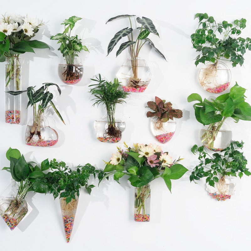 Hanging Hydroponic Glass Vase for Plants Wall Decor