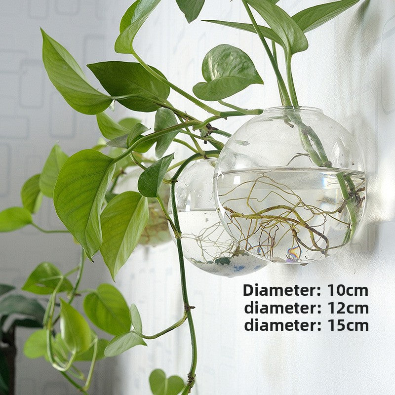 Hanging Hydroponic Glass Vase for Plants Wall Decor