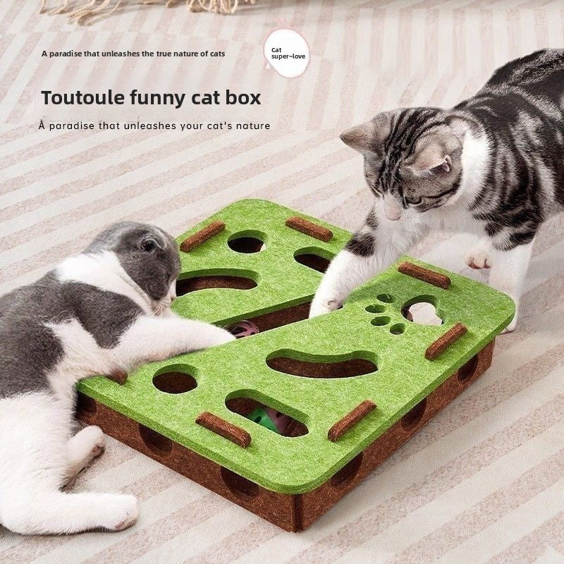 Cat Toy