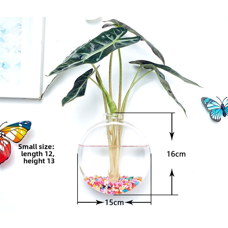 Hanging Hydroponic Glass Vase for Plants Wall Decor