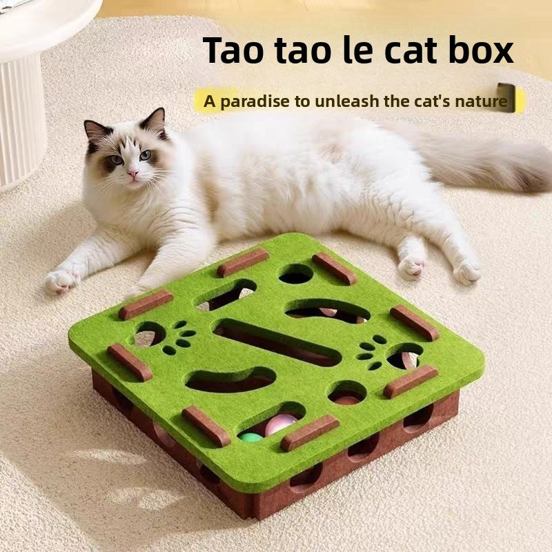 Cat Toy