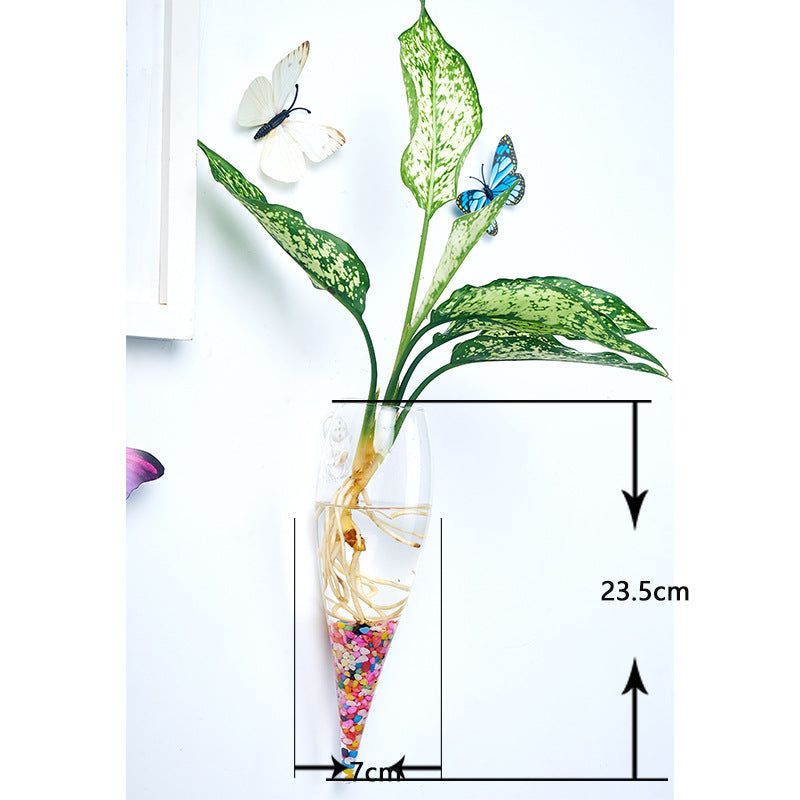 Hanging Hydroponic Glass Vase for Plants Wall Decor